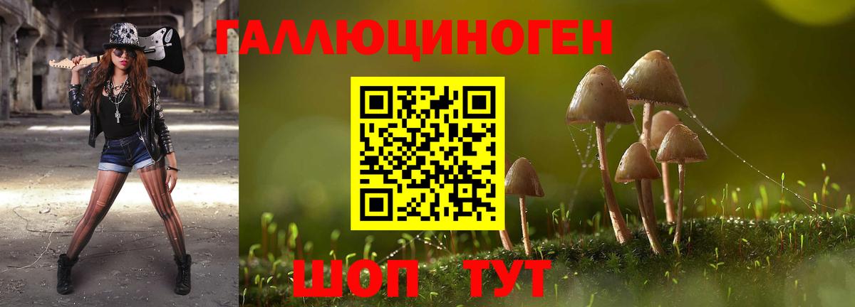 Ачинск  Галлюциногенные грибы мухоморы  Вход с VPN 