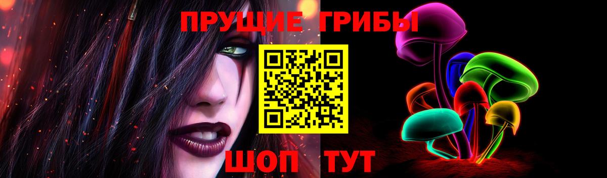 Псилоцибиновые грибы мицелий Ачинск